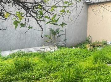 Casa · 250m² · Casa à venda, Vila Floresta - Santo André/SP