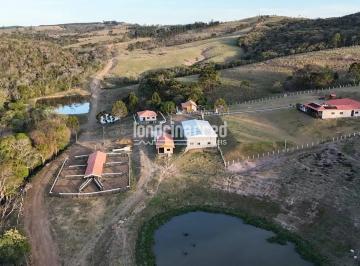 011758572687661.jpg · Fazenda espetacular em São Jerônimo/Sapopema com 140,5 alqueires, sede de alto padrão, pecuária, euc
