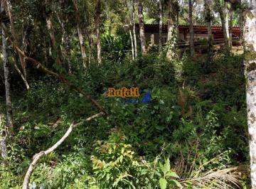 r5g8gm2ogu1mddhztu2yte3_md · Lotes em São Pedro de Alcântara com escritura e prontos para construir