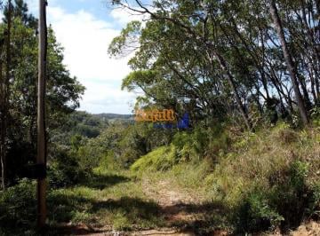 bvnnoms2ogu1mgfhztm0yjm1_md · Lotes em São Pedro de Alcântara com escritura e prontos para construir