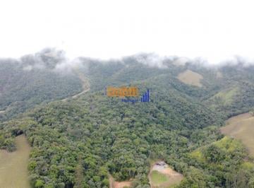 ergouoa2ogqxnwqwnti0zjq2_md · Águas Mornas – 2,38ha com água de cachoeira e mata nativa