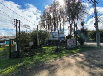 Terreno · 550m² · Terreno na Hipica