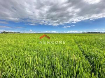 Rural · 200080m² · 1 Quarto · Sítio em Araquari - Centro - Araquari/SC