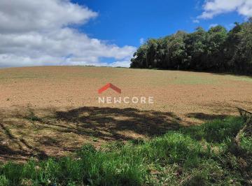 Rural · 18000m² · 1 Quarto · 4 Vagas · Chácara em Área Rural - Área Rural de São José dos Pinhais - São José dos Pinhais/PR