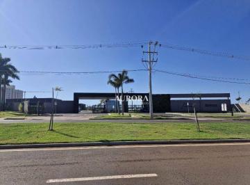 aa20cf49cb012a1bb93b1fb14874a46f826cac37 · Terreno à venda, 318 m² por R$ 509.000,00 - Jardim da Luz - Londrina/PR