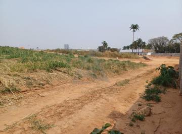 Terreno · 550m² · Terreno à venda em Campinas, Alphaville Dom Pedro, com 550 m², Alphaville Dom Pedro 0