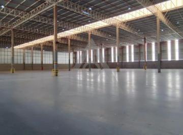 Comercial · 7000m² · 10 Vagas · Galpão para alugar em Campinas, Vila Boa Vista, com 7000 m²