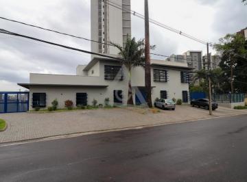Comercial · 900m² · 1 Quarto · 26 Vagas · Casa para alugar em Campinas, Nova Campinas, com 1 quarto, com 900 m²