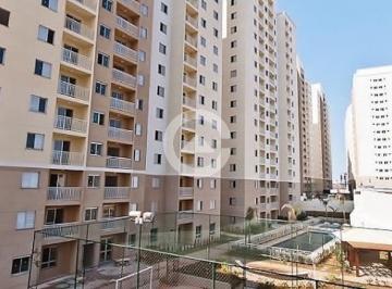 edifício torres do bonfim · Apartamento à venda e para alugar em Campinas, Bonfim, com 3 quartos, com 65 m²