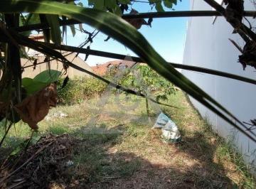 Terreno · 390m² · Terreno à venda em Campinas, Parque São Quirino, com 390 m²