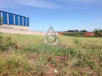 Comercial · 2500m² · Terreno à venda em Paulínia, Betel, com 2500 m²