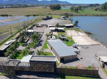 Terreno · 71100m² · Terreno comercial em frente a Base Aérea para locação