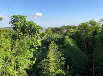 305973_i699I855Jj6Sp_3059735dcac8d06c8d0.jpg · Terreno com vista para o Guaíba.