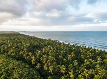 pdn8c-dji-0327-1758557376.jpg · Lote / Terreno à venda em Santa Cruz Cabrália, no bairro Condomínio Baia Dos Coqueiros