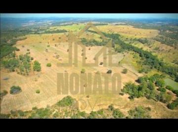 Rural · 222640m² · 4 Quartos · Rurais à venda - no Centro
