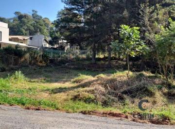 Terreno · 1420m² · Lote Plano e Pronto para Construir na Fazendinha – 1.420 m²