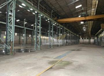 Comercial · 5500m² · Galpão Comercial/Industrial para Alugar, 5.500m² - Cangaíba, São Paulo/SP.