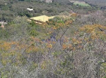 Rural · 20000m² · 3 Quartos · 1 Vaga · Sítio com 3 quartos, Centro, Rio de Contas - R$ 2.2 mi, Cod: 68732