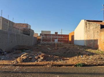 Terreno · 220m² · Terreno Venda Residencial Borboleta III Bady Bassitt