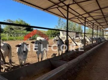 Rural · 14200m² · 4 Quartos · 25 Vagas · Fazenda em Estrada Municipal Capitão Oscar Francisco de Sales - Chácara Marambaia - Caçapava/SP