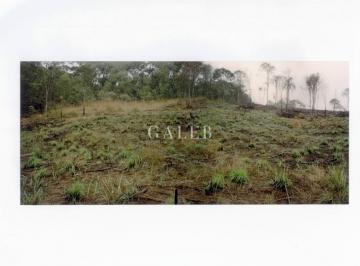Foto 02 · Excelente terreno no condomínio Recanto dos Palmares - 6.000 m² de área!