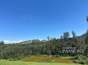 Foto 13 · Fazenda, Joanopolis, Joanópolis, SP