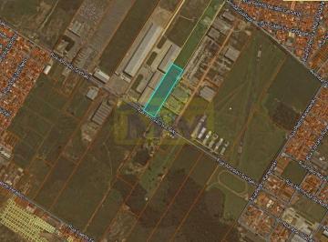 Terreno · 20000m² · Terreno de 20.000 m² à venda no bairro Ipê – São José dos Pinhais