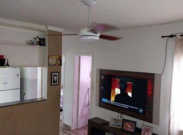 7f63793e312c56a3c7aad848d8b826da862eb261 · Apartamento com 2 dormitórios à venda, 44 m² por R$ 170.000,00 - Cidade Satélite Íris - Campinas/SP