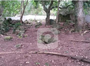 Terreno · 1300m² · Terreno condomínio 1300 m² á venda Vargem Pequena