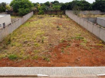 Terreno , Gama · Terreno de 800 m² na Avenida Rodobelo I 