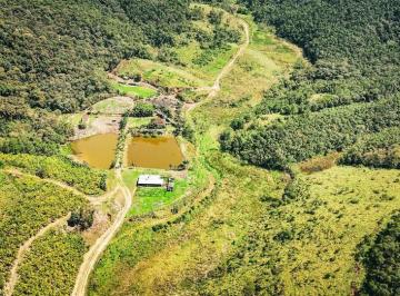 Rural de 3 quartos, Juquiá · Sítio à Venda em Juquiá COD: 5811 F:(11) 97302-9229 CESAR