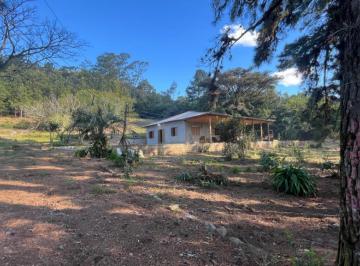 597180.jpg · Sítio - Bairro Itapuã