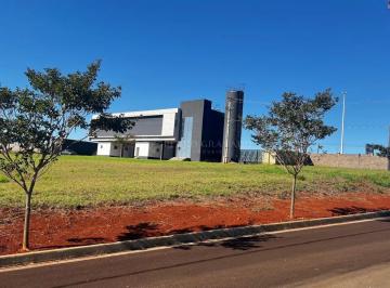 Terreno · 312m² · Condomínio Golden Forest em Floresta