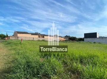 Terreno · 1800m² · Terreno em Cará-cará, Ponta Grossa/PR de 1800m² à venda por R$ 990.000,00