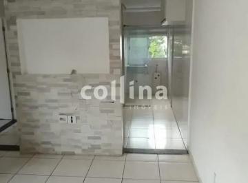 whatsapp-image-2025-09-25-at-15-24-021758825255559.jpeg · Imoveis - no Jardim Arco-Íris