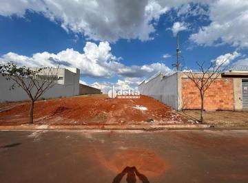 Terreno · 250m² · Terreno com 250m² disponível para venda no bairro Portal do Vale em Uberlândia-MG.