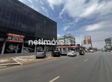 42536506-878f-4966-ab3b-357899fab80c.webp · QNA 53 - TAGUATINGA - LOJA