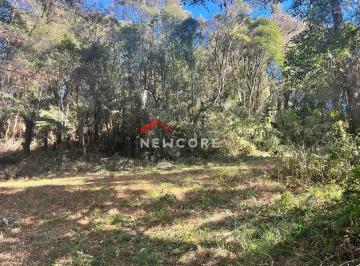 Terreno · 600m² · Lote em  Avenida Mata Atlântica - Alpes - São Francisco de Paula/RS
