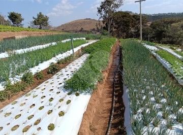 Rural · 150m² · 3 Quartos · Rurais à venda - no Centro