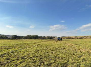 Rural , Capão Alto · Fazenda na Coxilha Rica com 50 hectares - Serra Catarinense