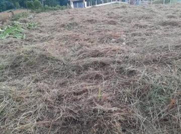 20230625174240842.jpg · Terreno para Venda em Pinhalzinho, Zona Rural