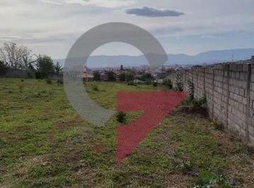 Terreno · 1000m² · Terreno à venda - nas Granjas Panorama