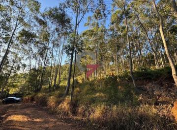 Terreno · 1000m² · Terreno à venda - em Barreiro
