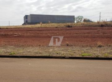 Foto 09 · Lote à Venda - IPEZINHO
