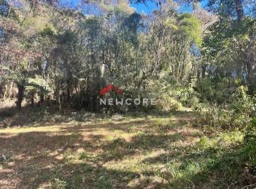 Terreno · 600m² · Lote em Avenida Mata Atlântica - Alpes - São Francisco de Paula/RS