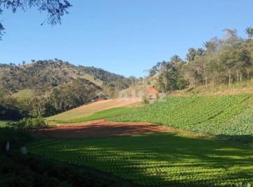 Foto 01 · Sítio com 27 ha, Produtivo, Boa Topografia, Vale Alpino. Teresópolis