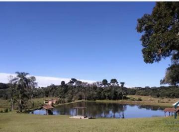 Foto 14 · Chácara com toda Infraestrutura completa, Colônia Malhada em São José dos Pinhais PR