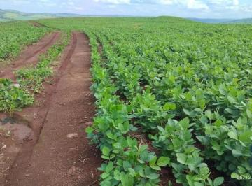 Foto 01 · Fazenda com 57 alqueires (plantando 46) Solo roxo alta fertilidade, Engenheiro Beltrão PR
