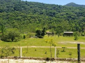 Foto 01 · Sítio plana, 24.200 mil m², lagoa c/ peixes, área gourmet, fibra ótica, em ITAJAÍ SC