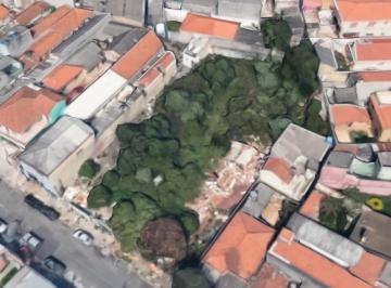 Terreno · 1650m² · Terreno para aluguel, VILA PAULO SILAS - São Paulo/SP